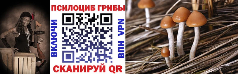 купить наркоту  Ряжск  Галлюциногенные грибы Psilocybe 